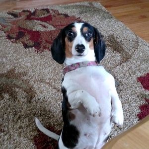 Meet your Posher, Michelle